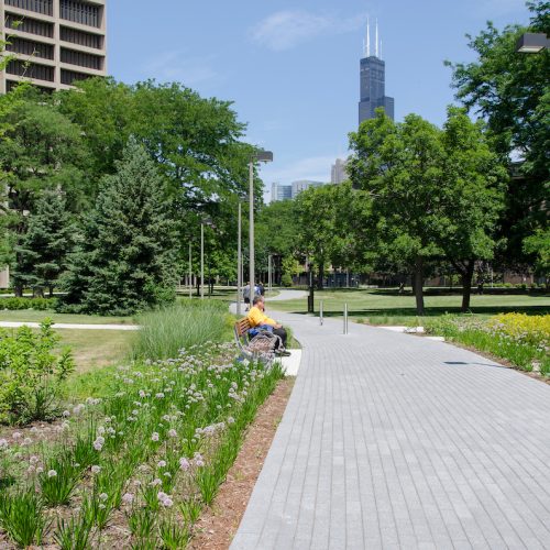 Flowers along a path on campus