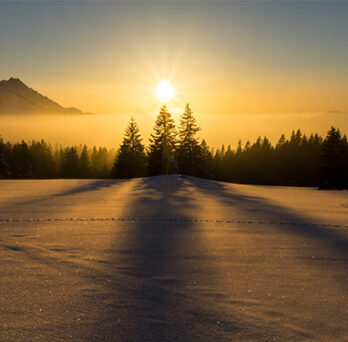 Snow-covered landscape at sunrise, with sunlight shining over a line of evergreen trees and mountains in the distance. 
