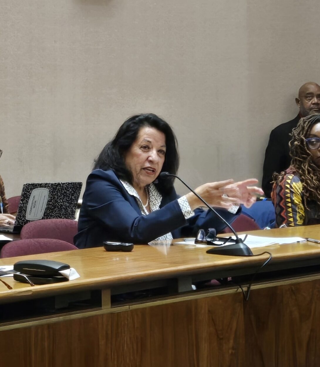 A woman speaks into a microphone during a public hearing or meeting, gesturing with one hand while seated at a conference table.