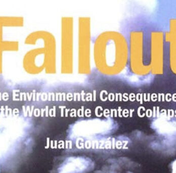 Book cover for Fallout: The Environmental Consequences of the World Trade Center Collapse by Juan González, showing smoke and dust rising around buildings near Ground Zero.