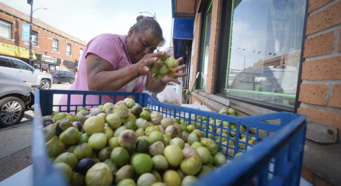 Street vendor Noemi is packing up her produce after a long day of selling very little. Not only is the intense heat keeping customers away, but street traffic has dwindled since Operation Midway Blitz began a year ago. Sept. 2, 2026. Credit: Alex Garcia/Investigative Project on Race and Equity