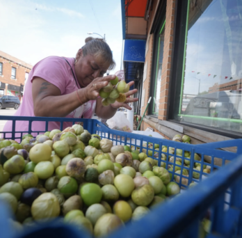 Street vendor Noemi is packing up her produce after a long day of selling very little. Not only is the intense heat keeping customers away, but street traffic has dwindled since Operation Midway Blitz began a year ago. Sept. 2, 2026. Credit: Alex Garcia/Investigative Project on Race and Equity