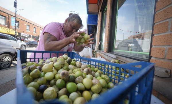 Street vendor Noemi is packing up her produce after a long day of selling very little. Not only is the intense heat keeping customers away, but street traffic has dwindled since Operation Midway Blitz began a year ago. Sept. 2, 2026. Credit: Alex Garcia/Investigative Project on Race and Equity